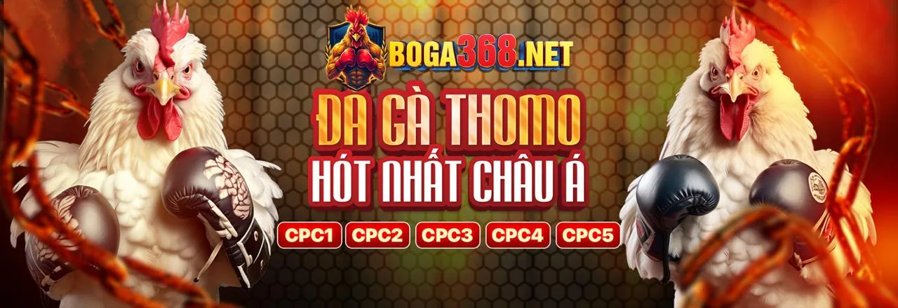 Hình ảnh đại diện cho Tuân thủ GDPR và bảo vệ dữ liệu tại bl55