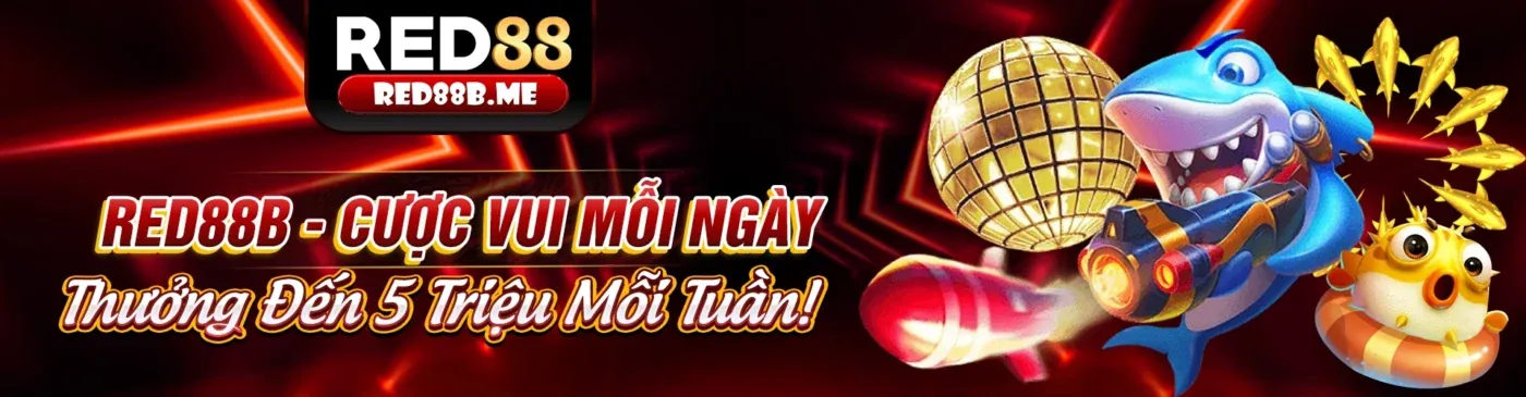 Hình ảnh minh họa các chương trình khuyến mãi và ưu đãi của bl55