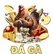 Bảo mật thông tin BL55