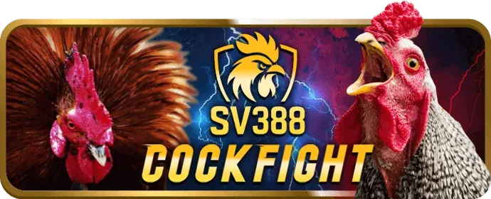 Cá cược có trách nhiệm bl55