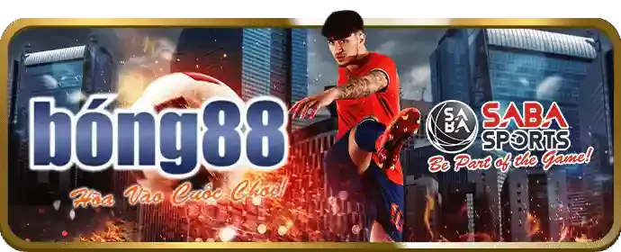 Quản lý ngân sách bl55